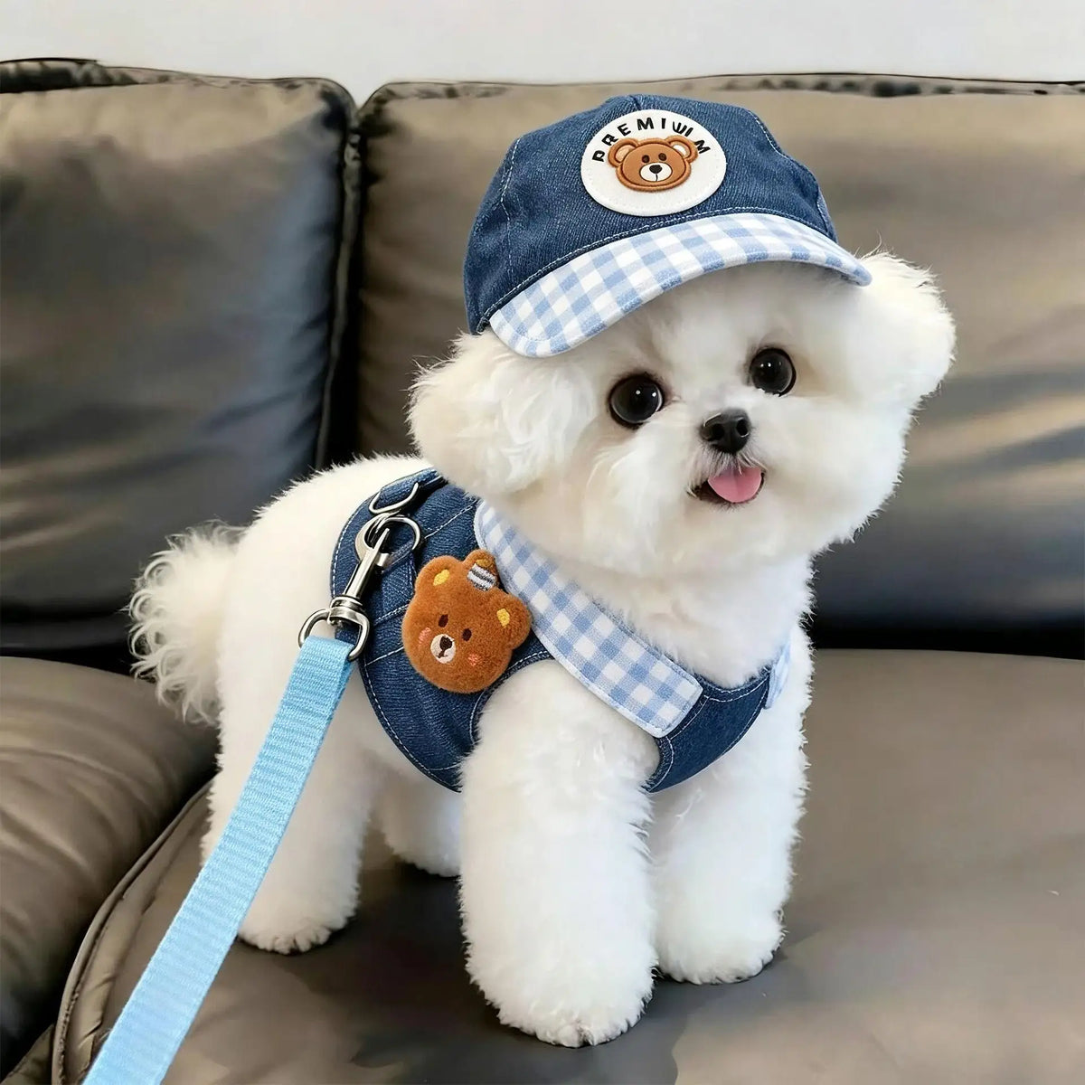 Cute Pet Collars Dog Cat Hat Spring/Summer Outing Sunshade Hat Cute Chest Strap Vest Dog Harness and Leash Set Puppy Accessories