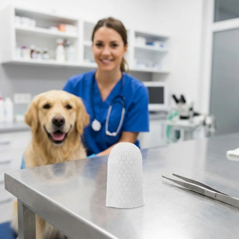 Daily Home Dog & Cat Teeth Cleaning Finger Wipes - Disposable Portable Design Pet Teeth & Gum Care Wipes