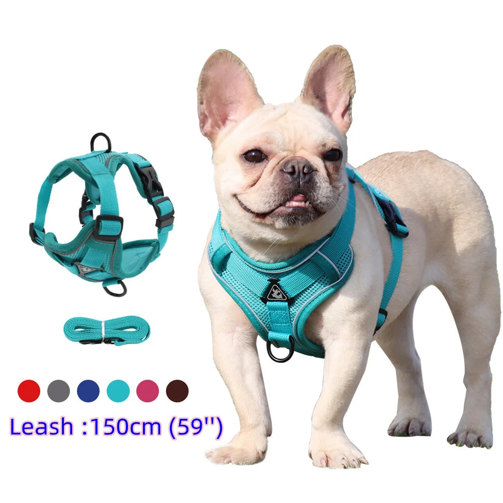Vest Harness & Leash Set for Small Dogs