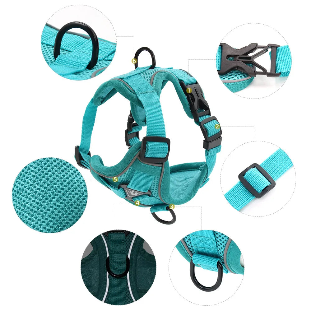 Vest Harness & Leash Set for Small Dogs