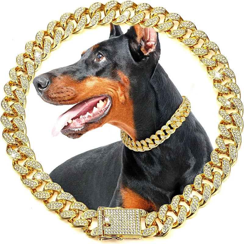 Gold Metal Chain Collar for Dogs & Cats
