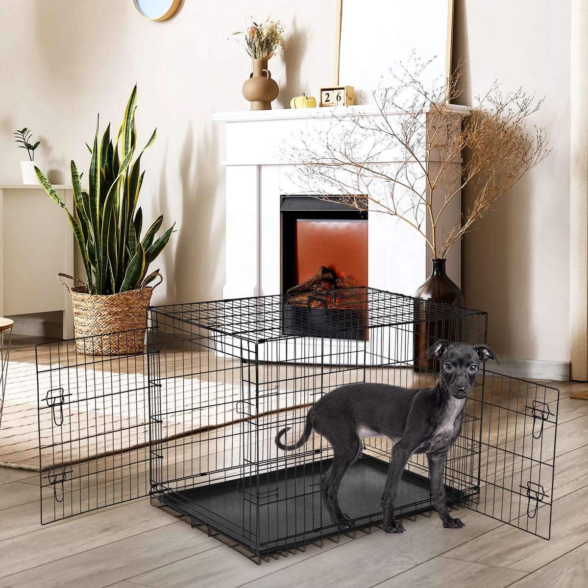 48-Inch Double-Door Folding Dog Crate