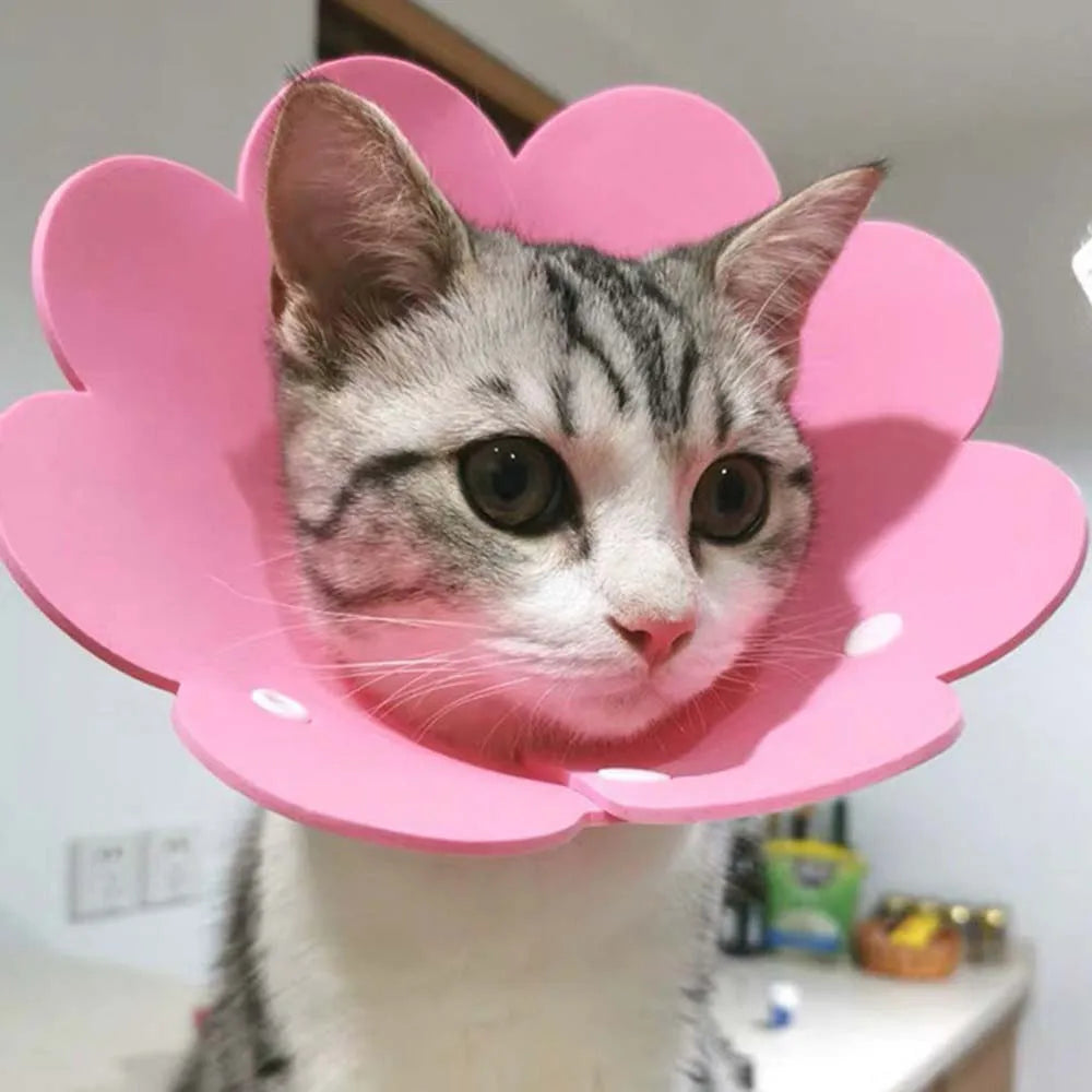 Cute Pet Protective Collars for Dogs Cats Wound Healing Protection Dog Cat Collars Anti-Bite Neck Cone Recovery Circle