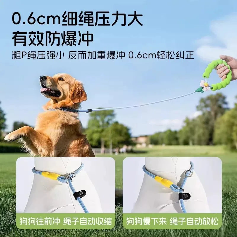 Dog P Rope P Chain Explosion-proof Dog Rope Go Out Walking Dog Training Dog Training Rope Dog Rope Pet Traction Rope