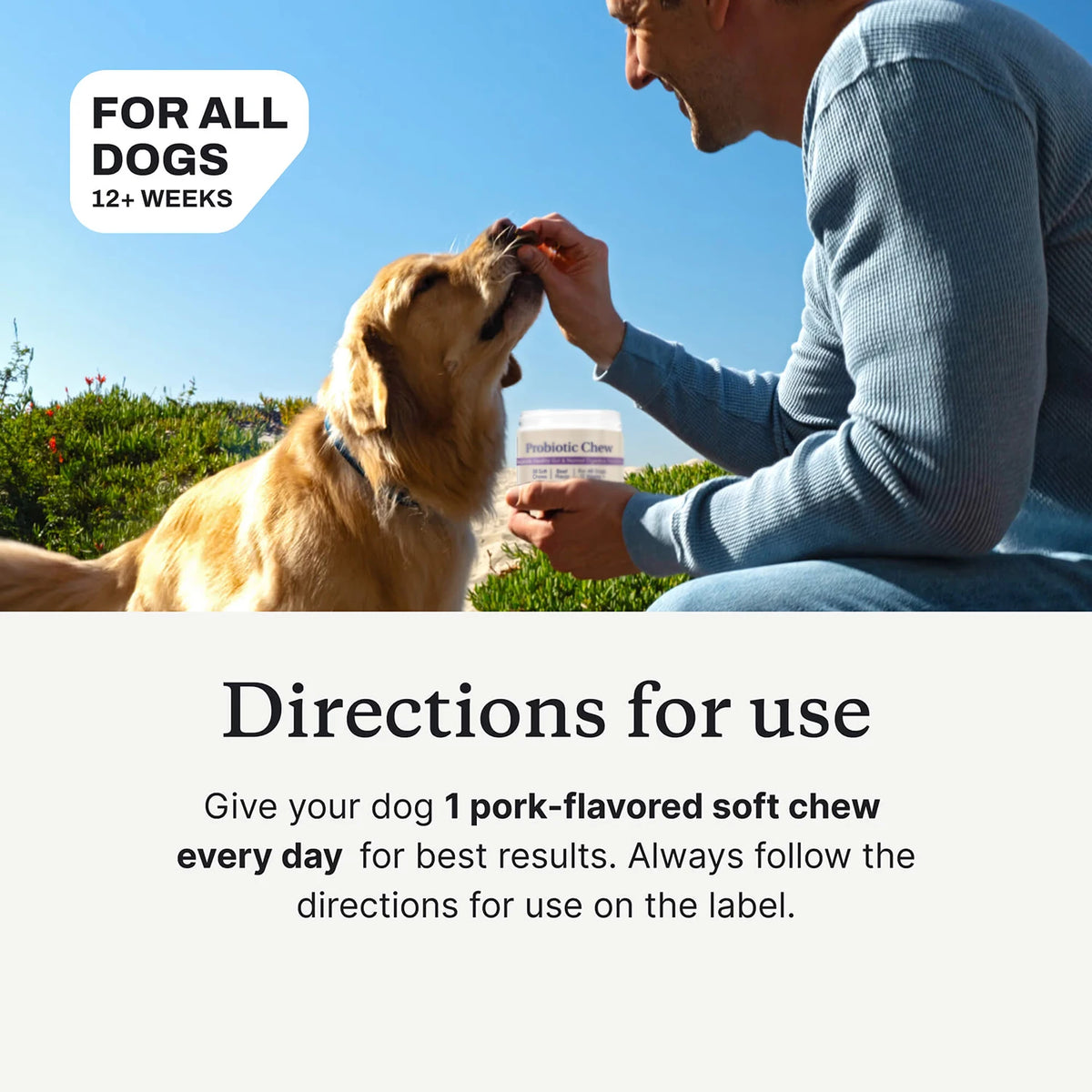Probiotic Digestive Chews for Dogs