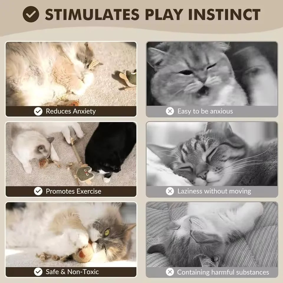 Catnip & Silvervine Dental Chew Toy