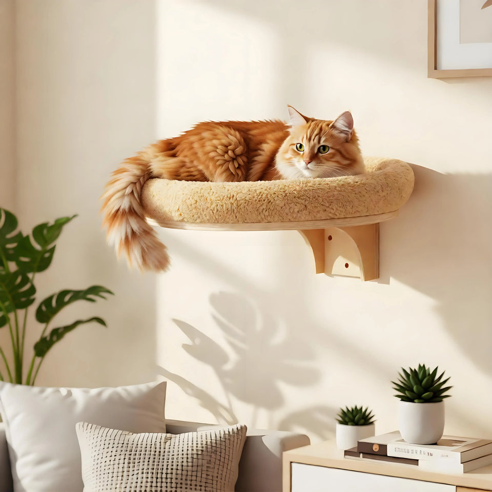 Wall-Mounted Cat Climbing Set with Hammock