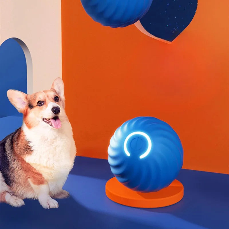 Pet Dog Rubber Ball Toys For Dogs Resistance To Bite Dog Chew Toys Puppy Pets Dogs Training Products