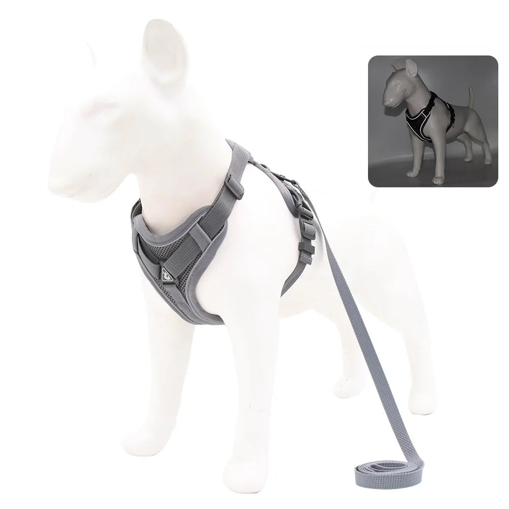 Vest Harness & Leash Set for Small Dogs