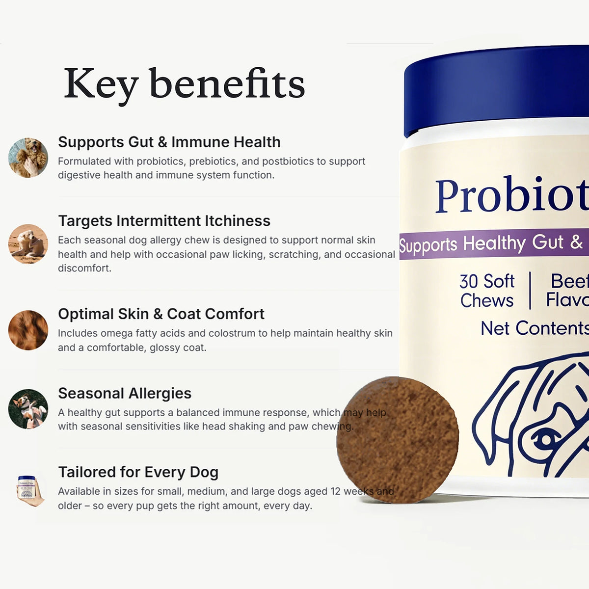 Probiotic Digestive Chews for Dogs