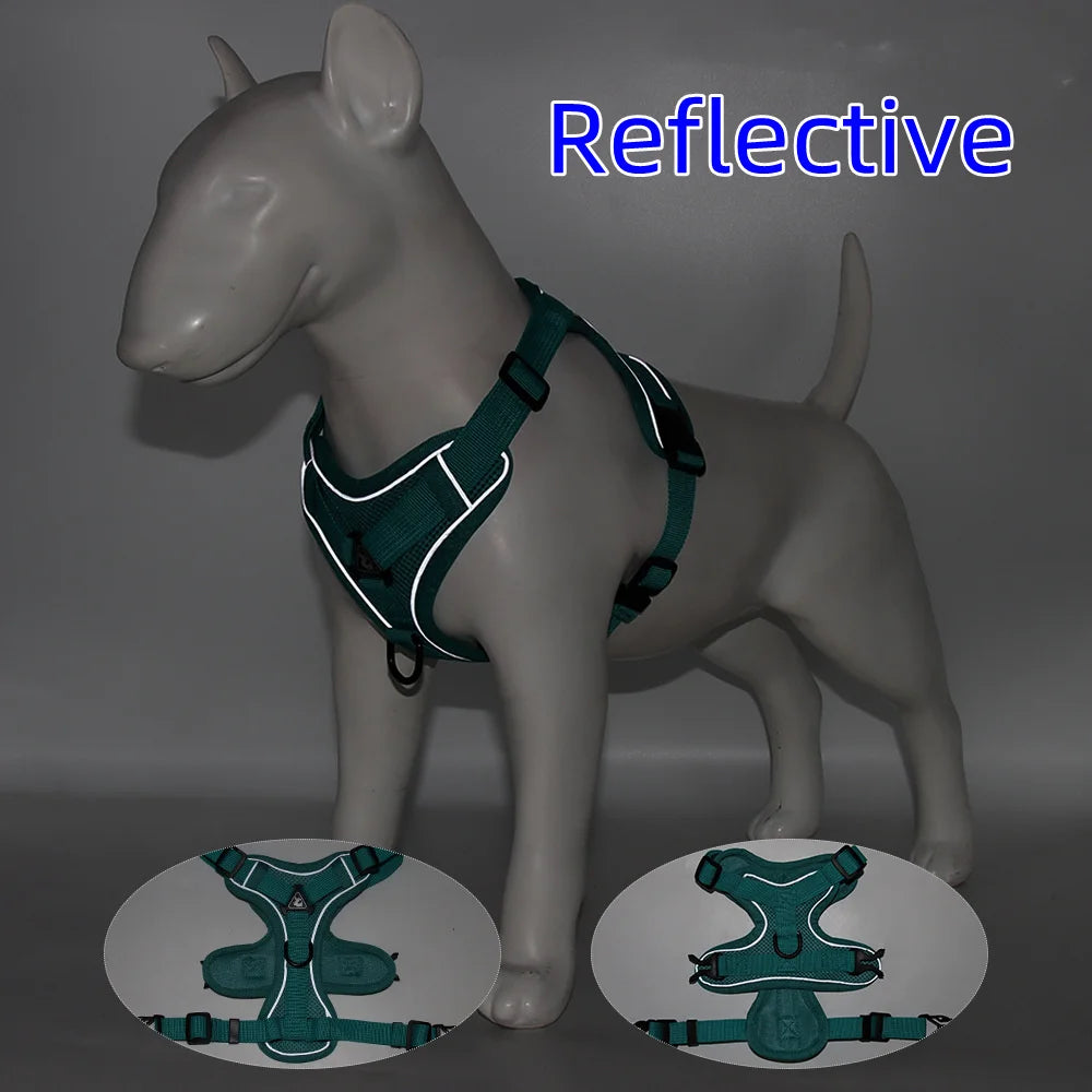 Vest Harness & Leash Set for Small Dogs