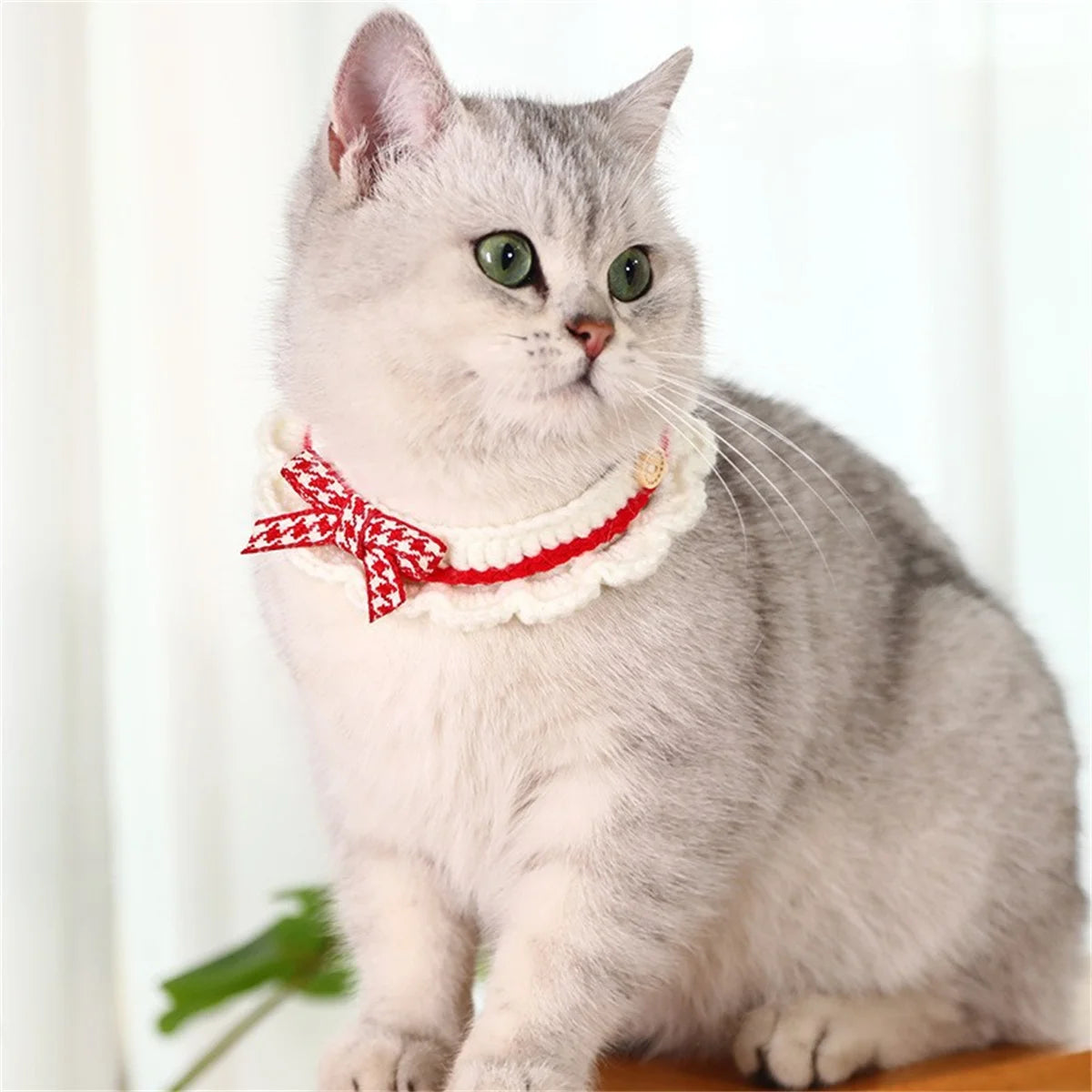Hand-Knitted Bow Collar for Cats & Dogs