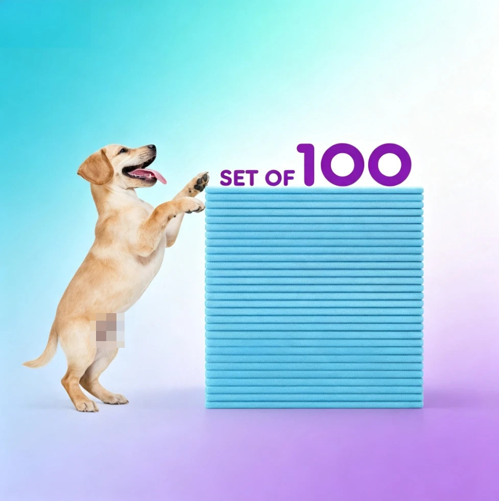 100-Count Leakproof Puppy Training Pads