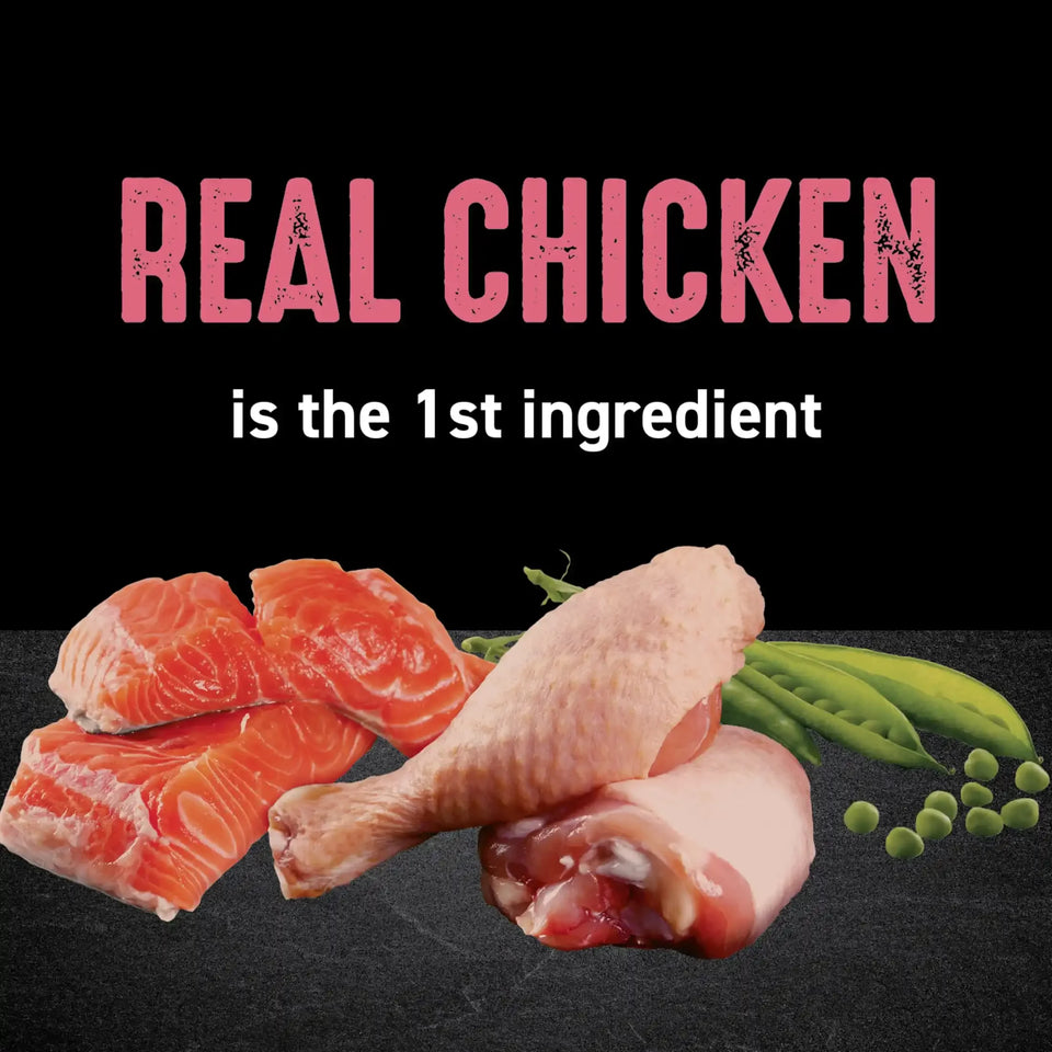 Grain Free Indoor Natural Dry Cat Food High Protein Chicken Salmon Recipe 4 Lb Bag
