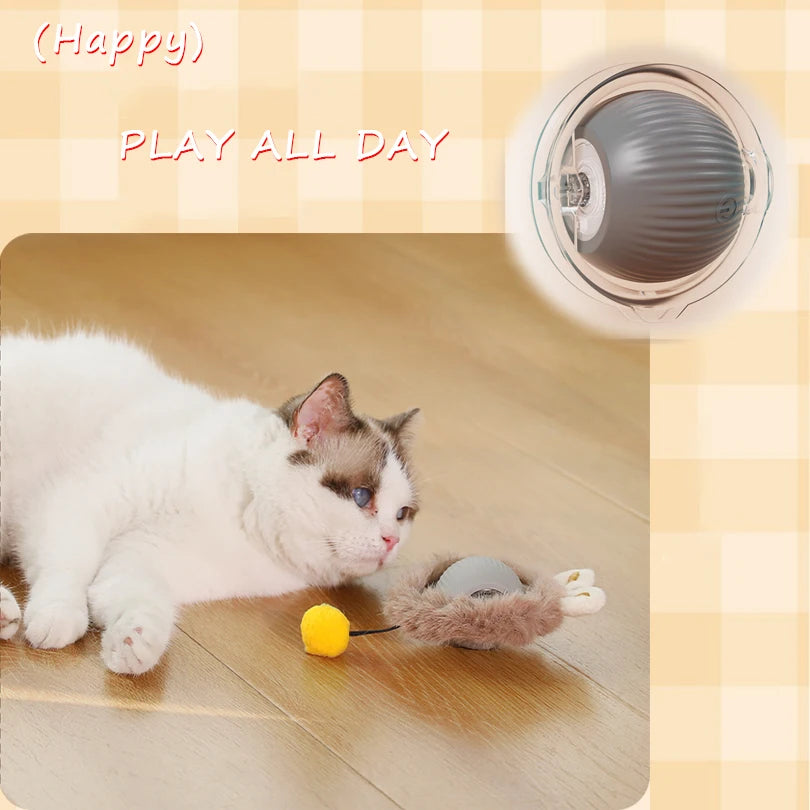 Interactive Cat Toys Ball Cover Set Fast Rolling in Pouch Hide and Seek Kitten Toy Motion Activated Interactive Cat Toy Indoor