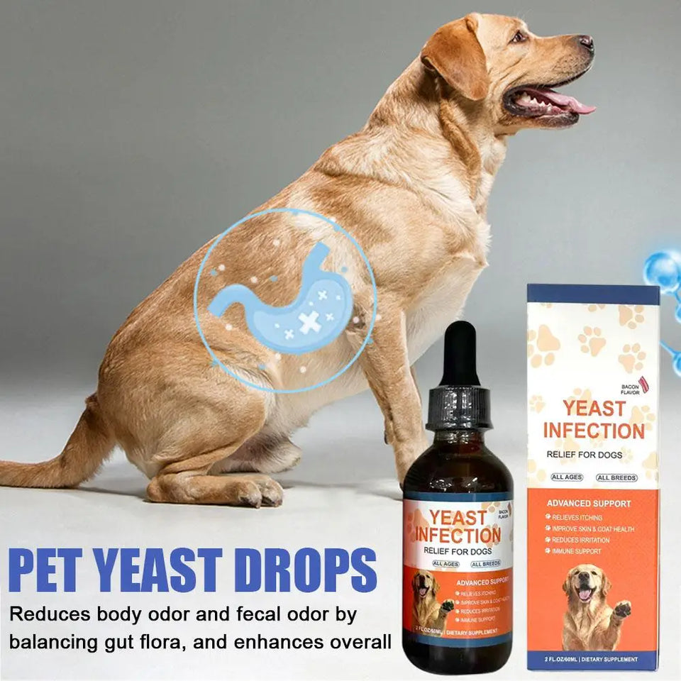 Collagen Skin & Coat Drops for Dogs