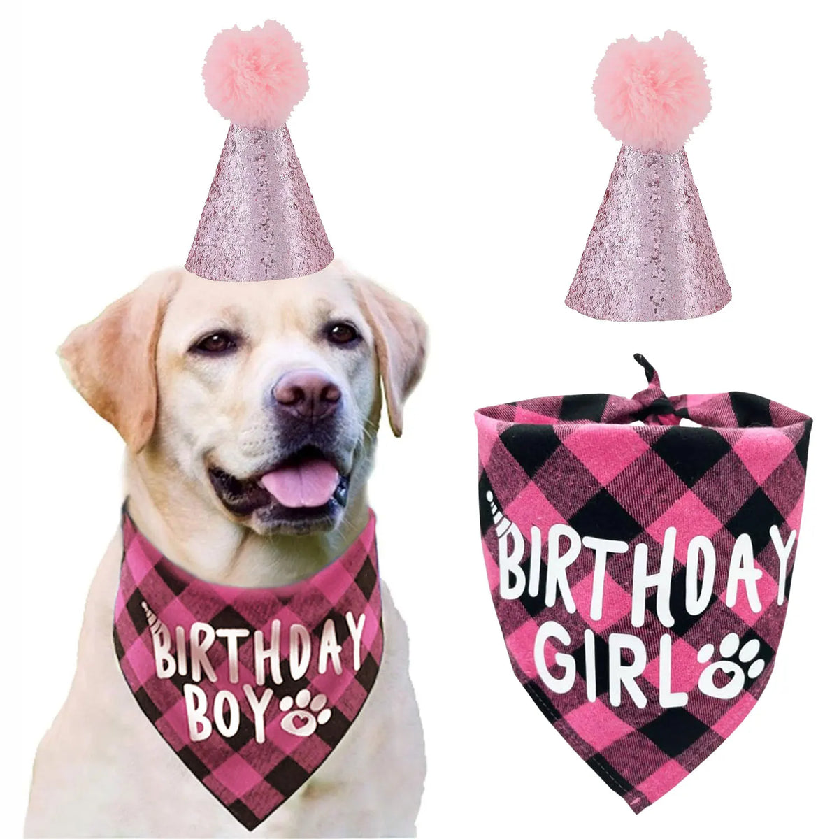 Dog Birthday Bandana, Hat & Number Set