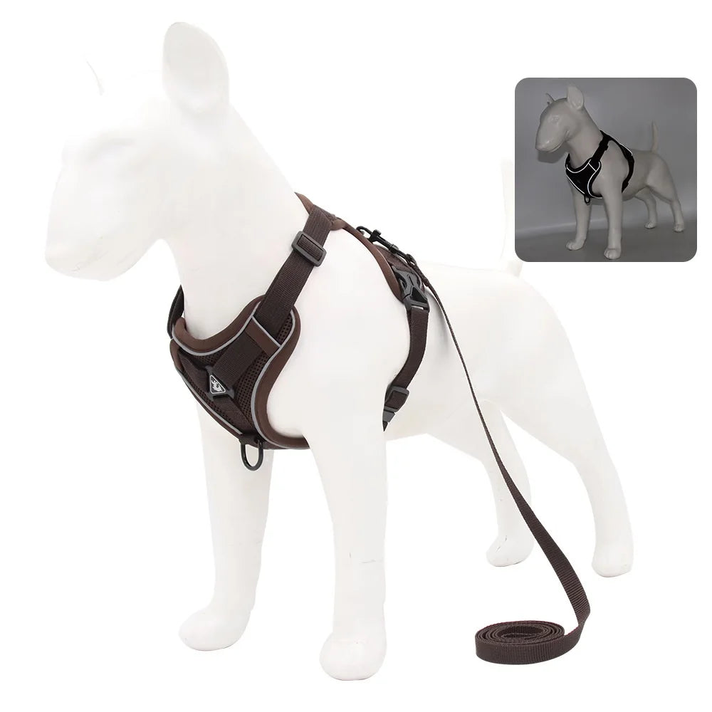 Vest Harness & Leash Set for Small Dogs