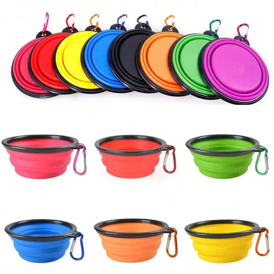 2-in-1 Travel Water Bottle & Folding Bowl