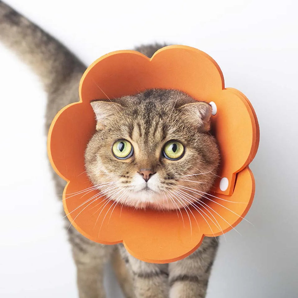Cute Pet Protective Collars for Dogs Cats Wound Healing Protection Dog Cat Collars Anti-Bite Neck Cone Recovery Circle
