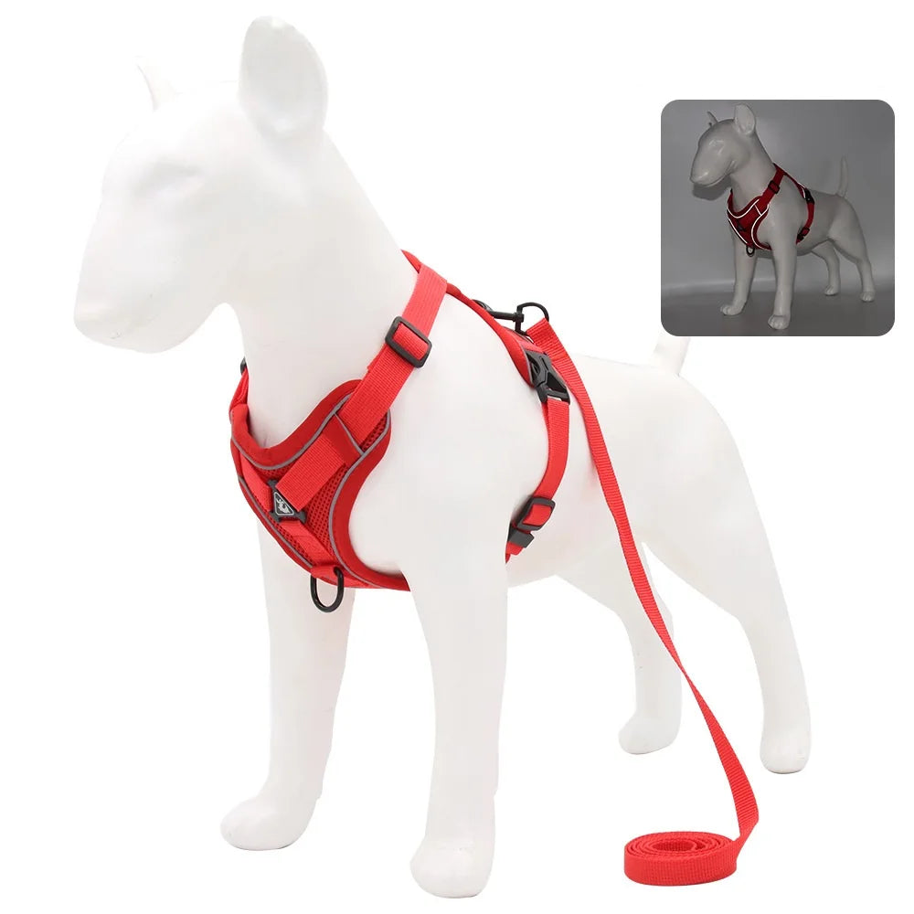 Vest Harness & Leash Set for Small Dogs