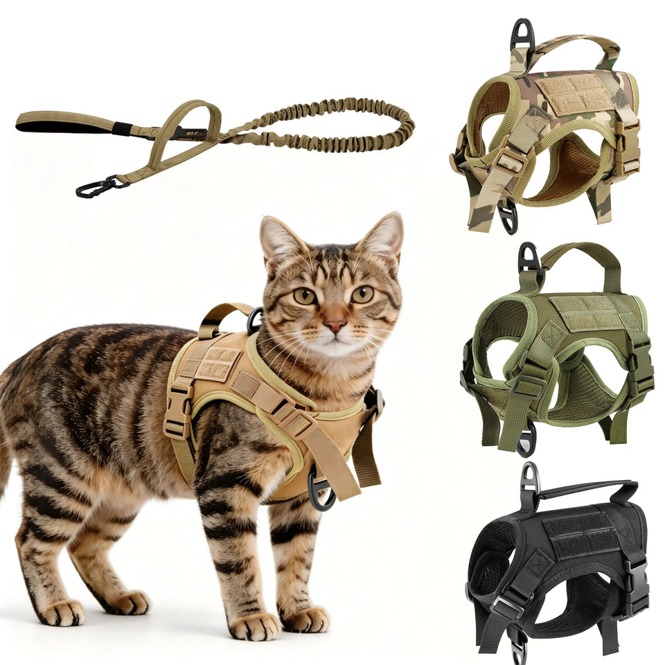 Escape-Proof Tactical Cat Harness & Leash Set