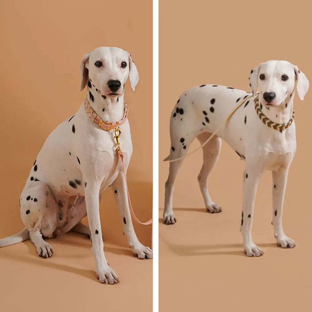 Colorful Adjustable Collar for Dogs & Cats