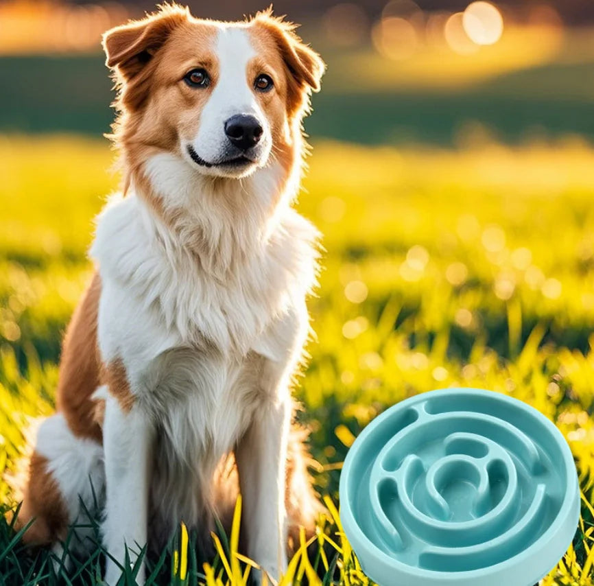 Non-Slip Maze Slow Feeder Bowl for Pets
