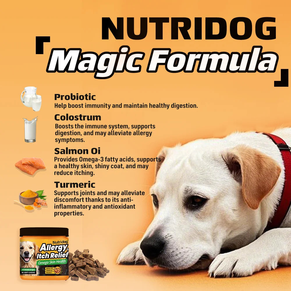 NUTRIDOG Dog Allergy Itch Relief Chews Omega-3 Vitamin C Support Skin For Dog Immune Health Supplement Nutrition 90 PCS/Bottle