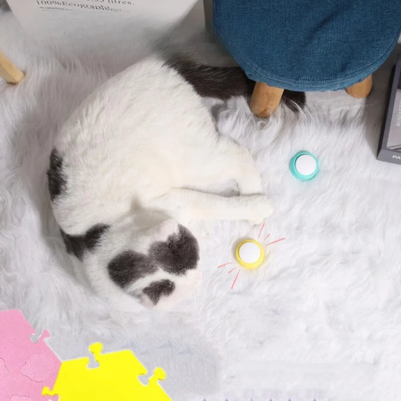 Dog & Cat Communication Button Mat