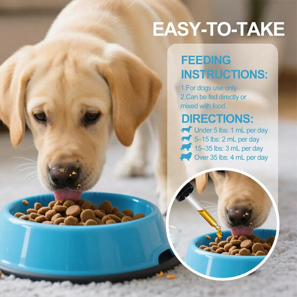 Collagen Skin & Coat Drops for Dogs