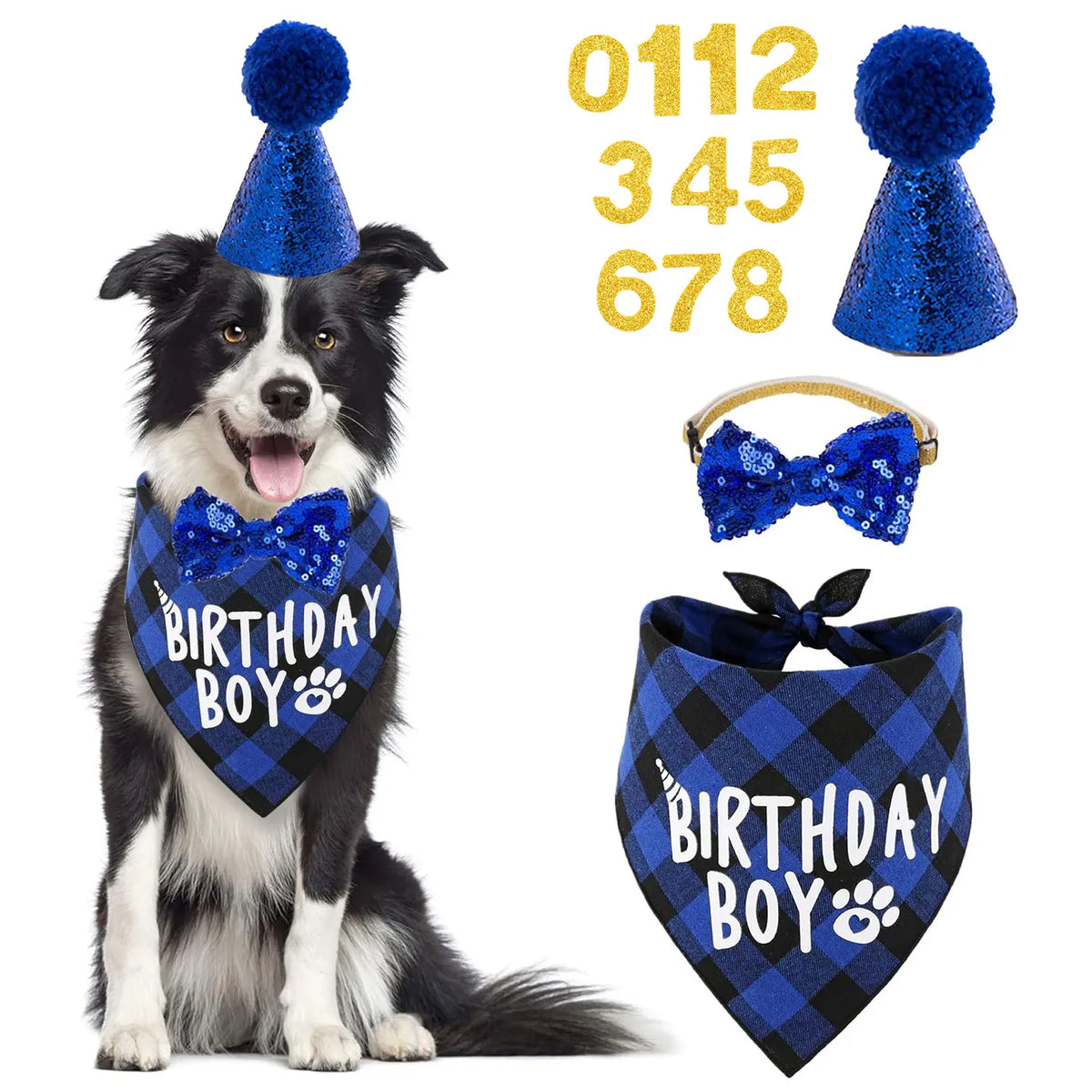 Dog Birthday Bandana, Hat & Number Set