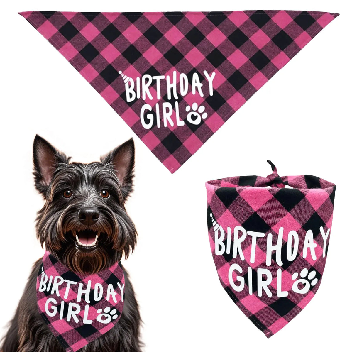 Dog Birthday Bandana, Hat & Number Set