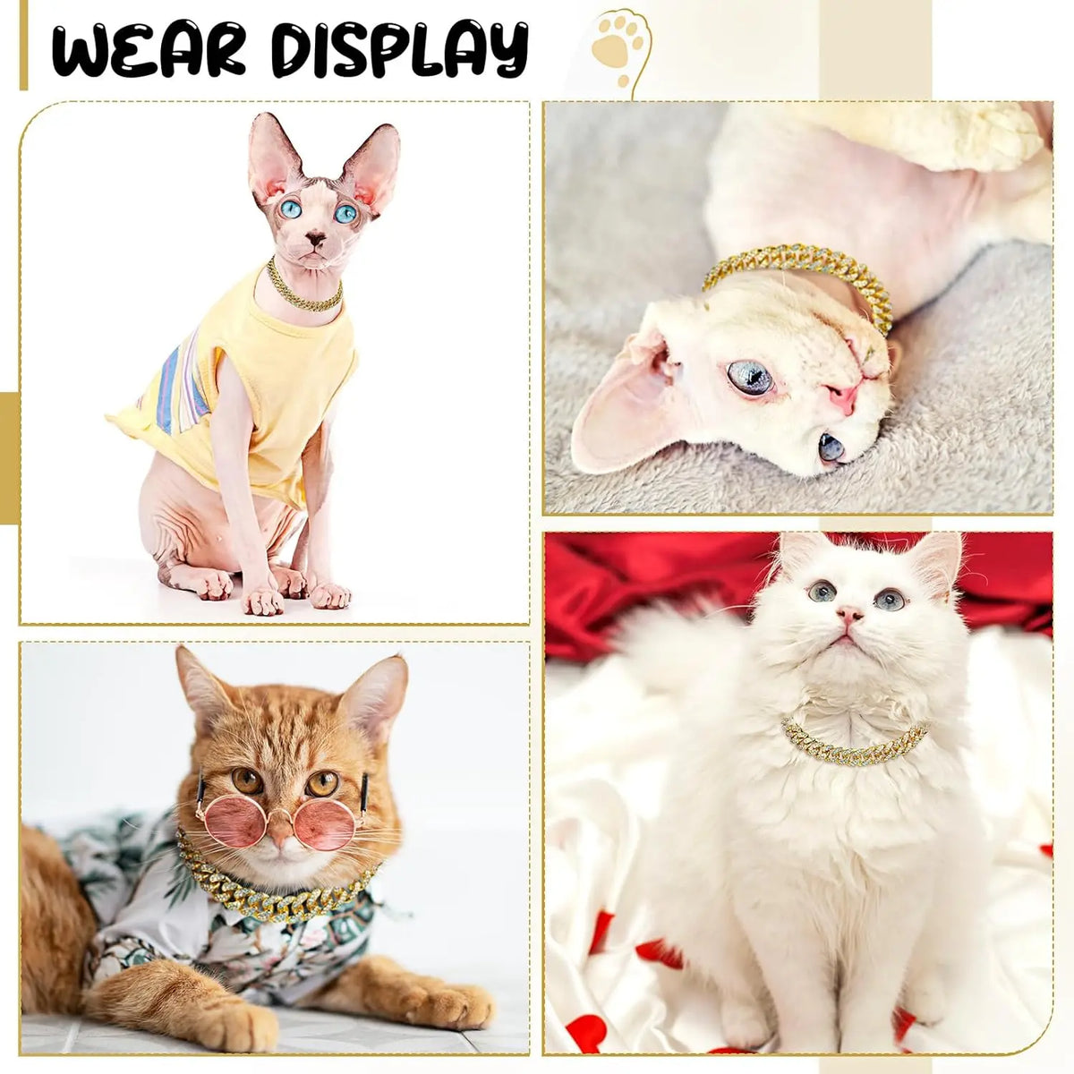 Gold Metal Chain Collar for Dogs & Cats