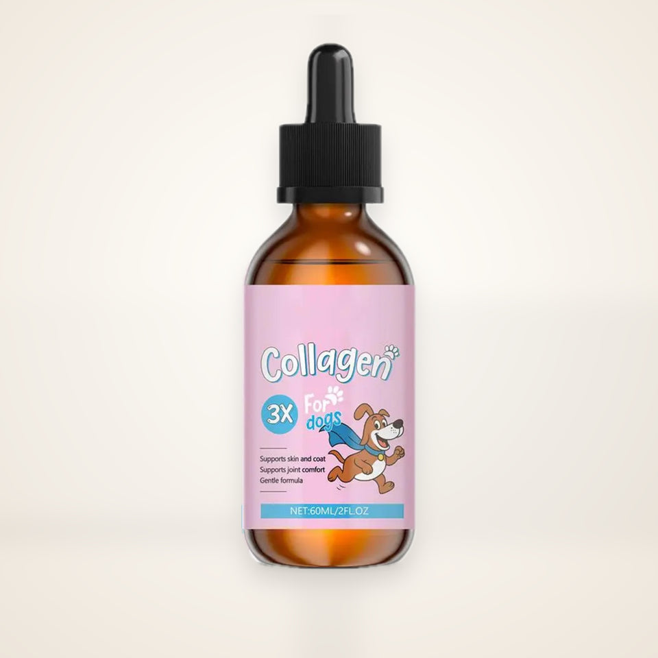 Collagen Skin & Coat Drops for Dogs – studio photo