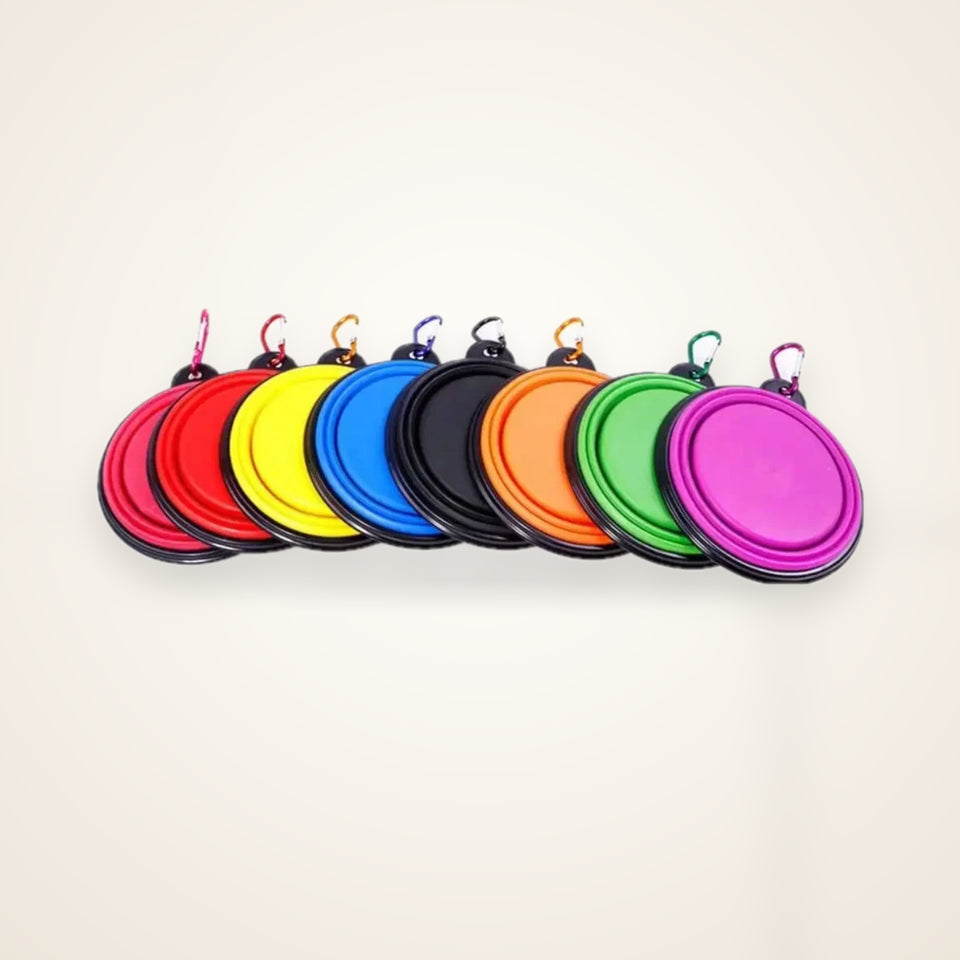 2-in-1 Travel Water Bottle & Folding Bowl – studio photo