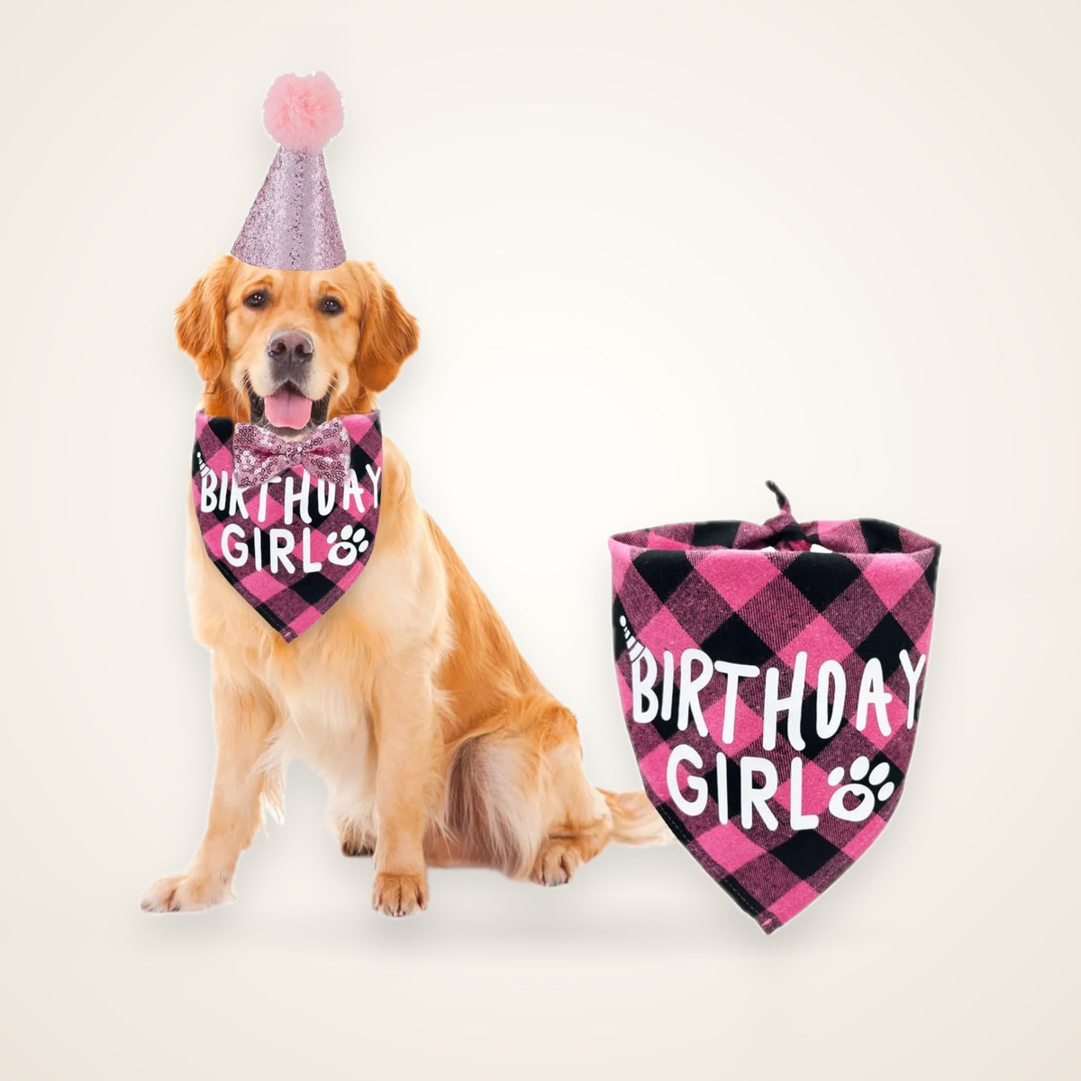 Dog Birthday Bandana, Hat & Number Set – studio photo