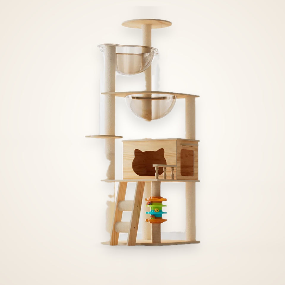 59-Inch Modern Wood Cat Tree & Tower – studio photo