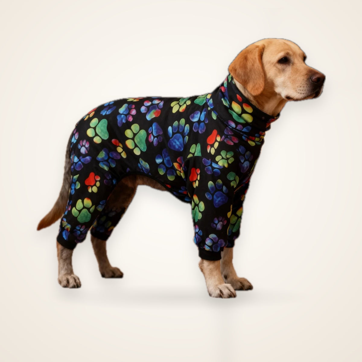 All-Season Paw Print Dog T-Shirt – studio photo