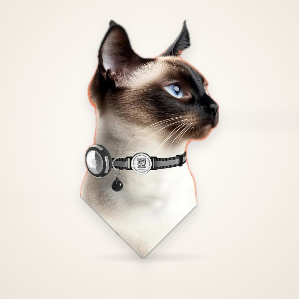 Anti-loss Cat Collar with Airtag Holder, Breakaway QR Code Tag Buckle, Adjustable kittens collar with for apple Air Tag case – studio photo