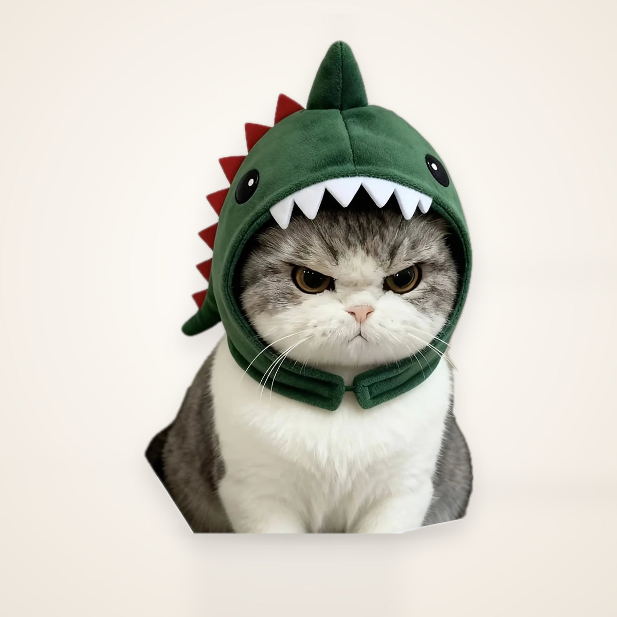 Cute Dinosaur Hat for Cats – studio photo