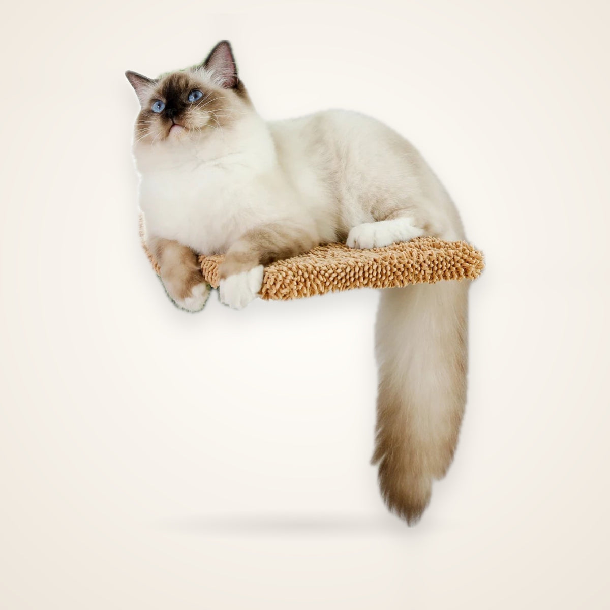 5-Tier Floor-to-Ceiling Cactus Cat Tower – studio photo