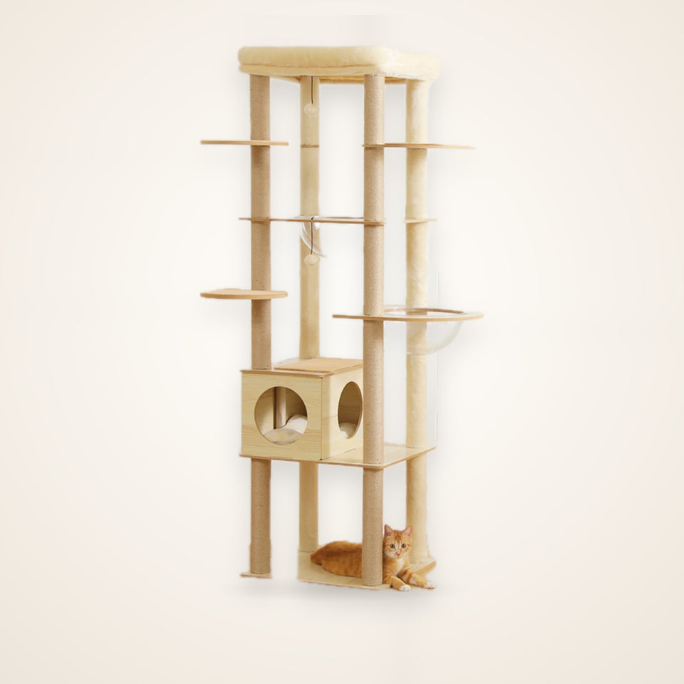 Multi-Level Wood Cat Tree with Condo & Hammock – studio photo