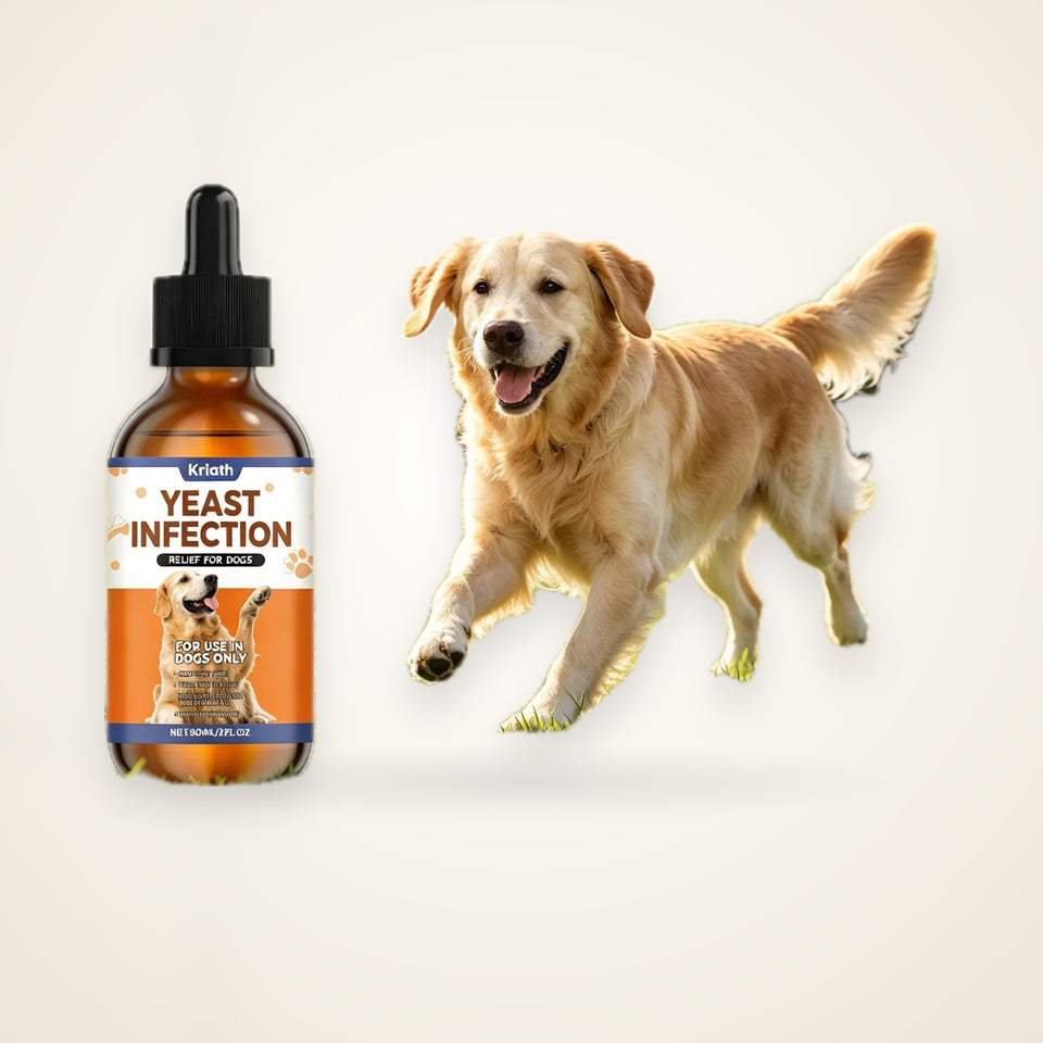 Herbal Skin & Coat Drops for Dogs – studio photo