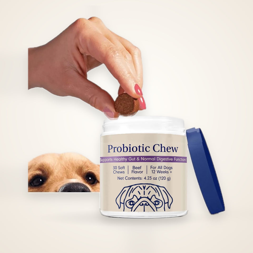 Probiotic Digestive Chews for Dogs – studio photo