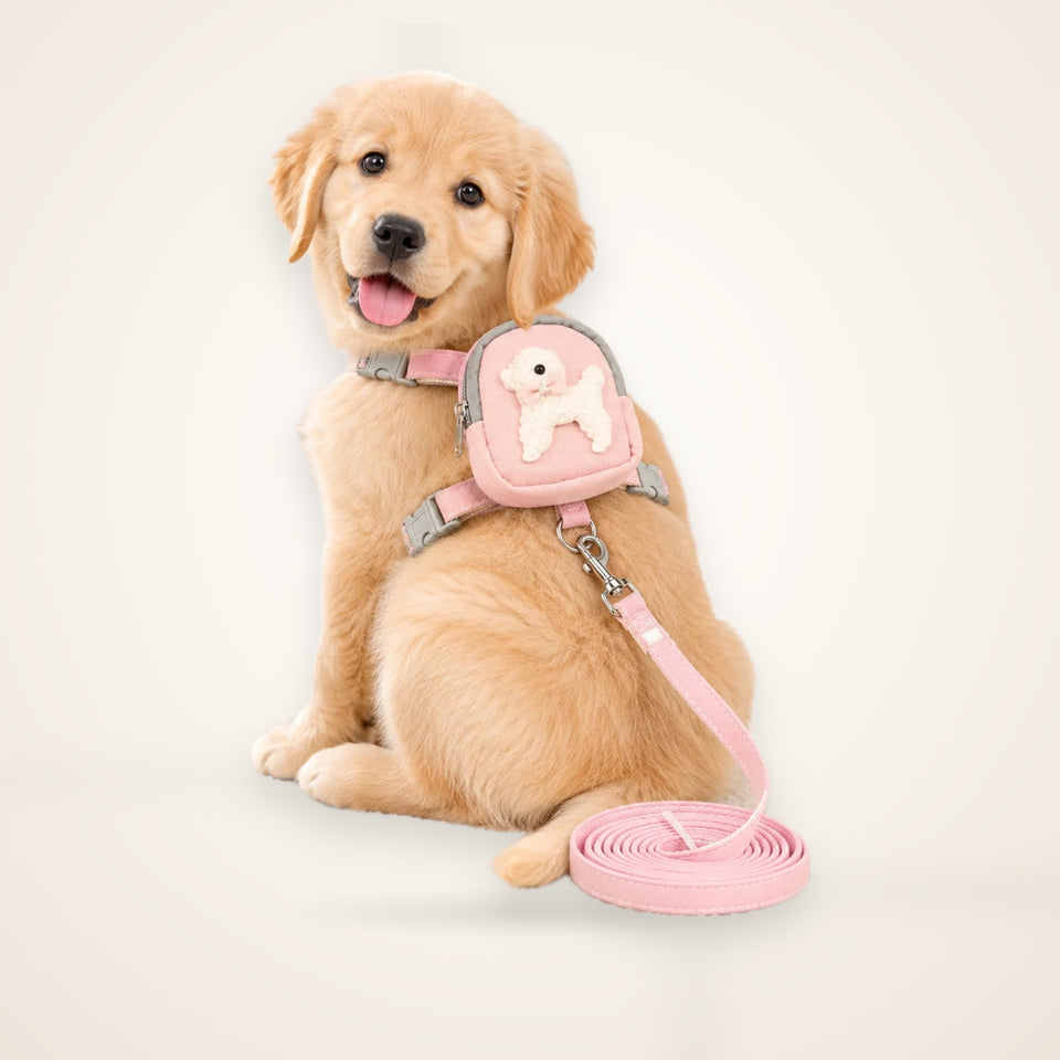 Fashion Cat Dog Harness and Leash Set for Cats Small Dogs Cute Dog Harness  Perfect for Outdoor Adventures and Carrying Treats – studio photo