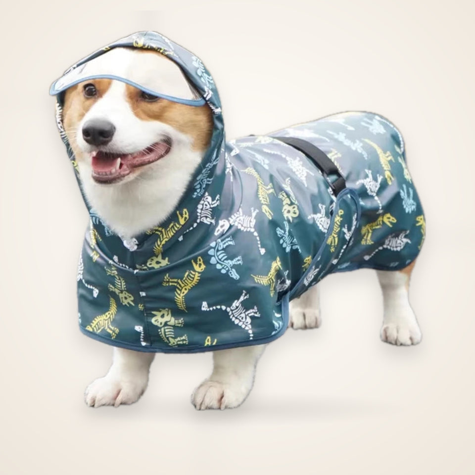 Waterproof Dog Raincoat – studio photo