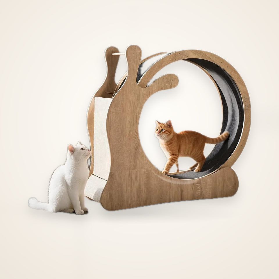 Garvee 3 in1 Solid Wood Cat Treadmill Running Wheel Large Pet Supplies Anti Pinch Foot Exercise Fitness Roller Cat Climbing Frame Dog Toy – studio photo