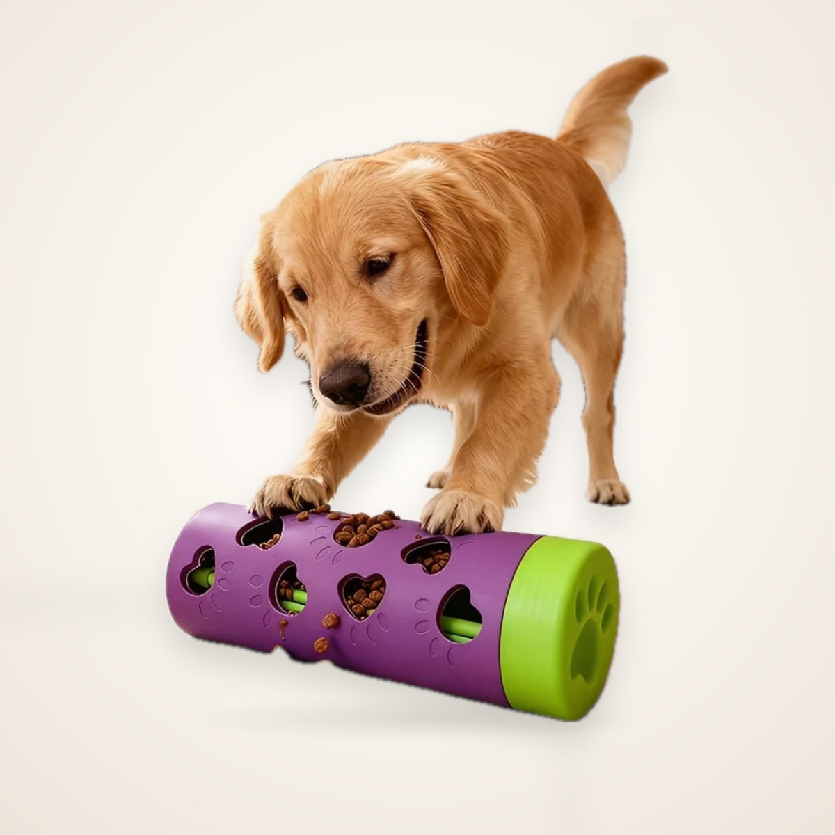 Slow Feeder Treat Dispenser & Chew Toy – studio photo