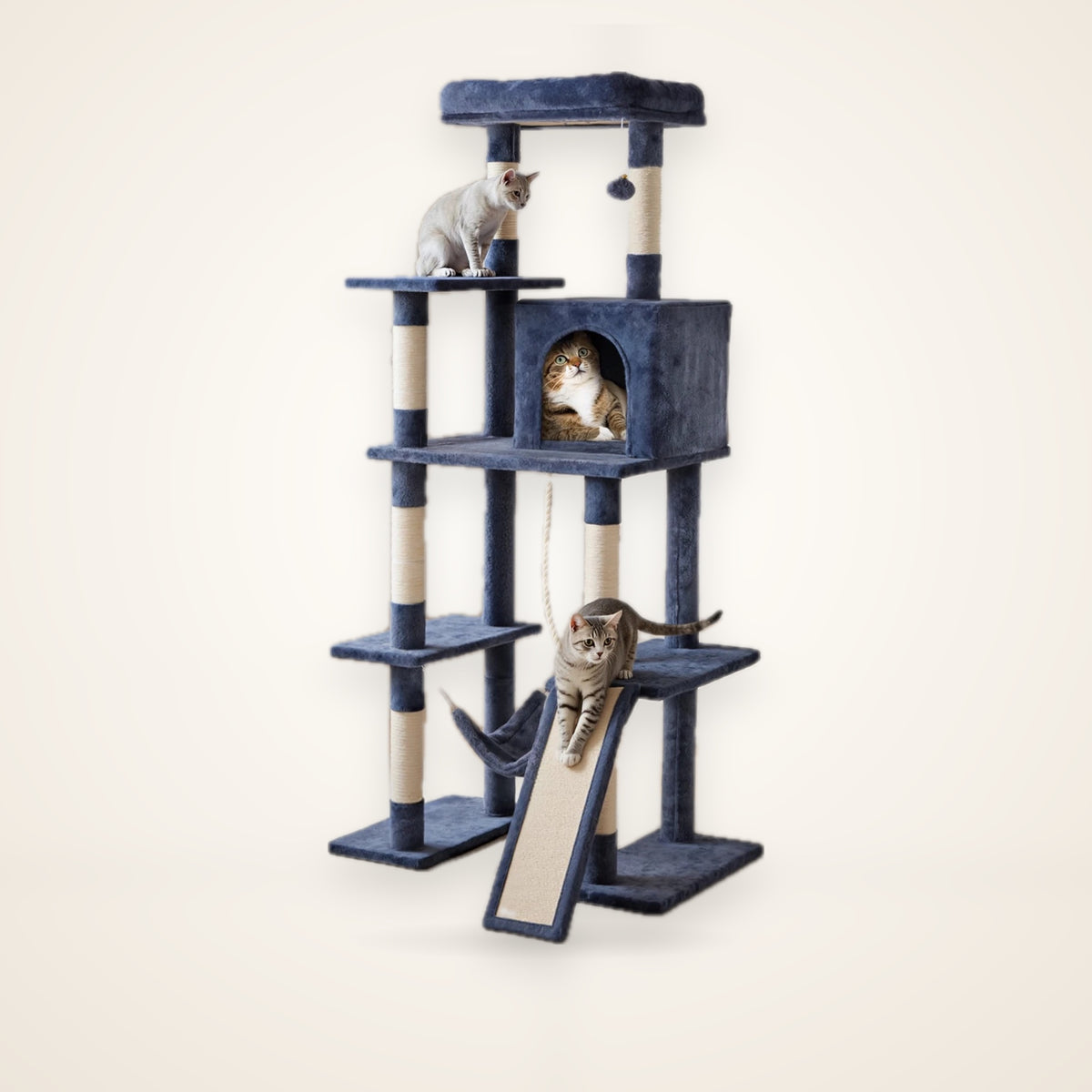 63-Inch Multi-Cat Tree & Climbing Tower – studio photo
